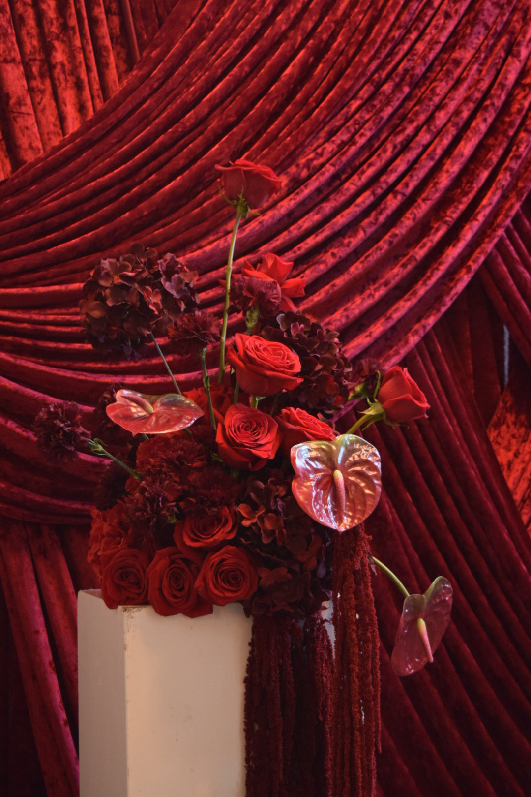 Baroque Drapery Backdrop