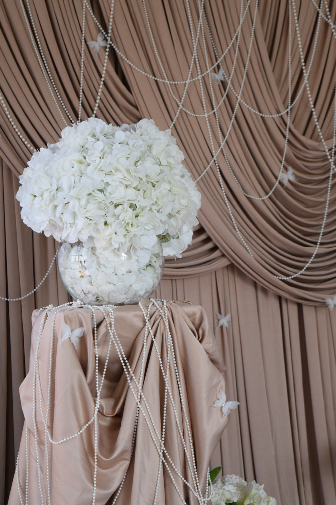 Baroque Drapery Backdrop