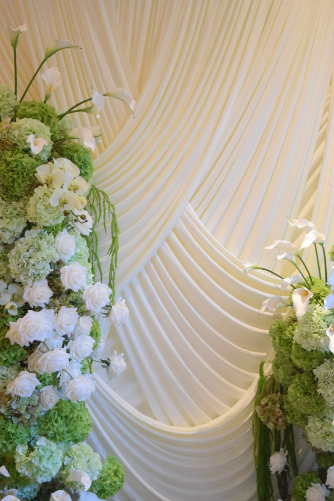 Baroque Drapery Backdrop