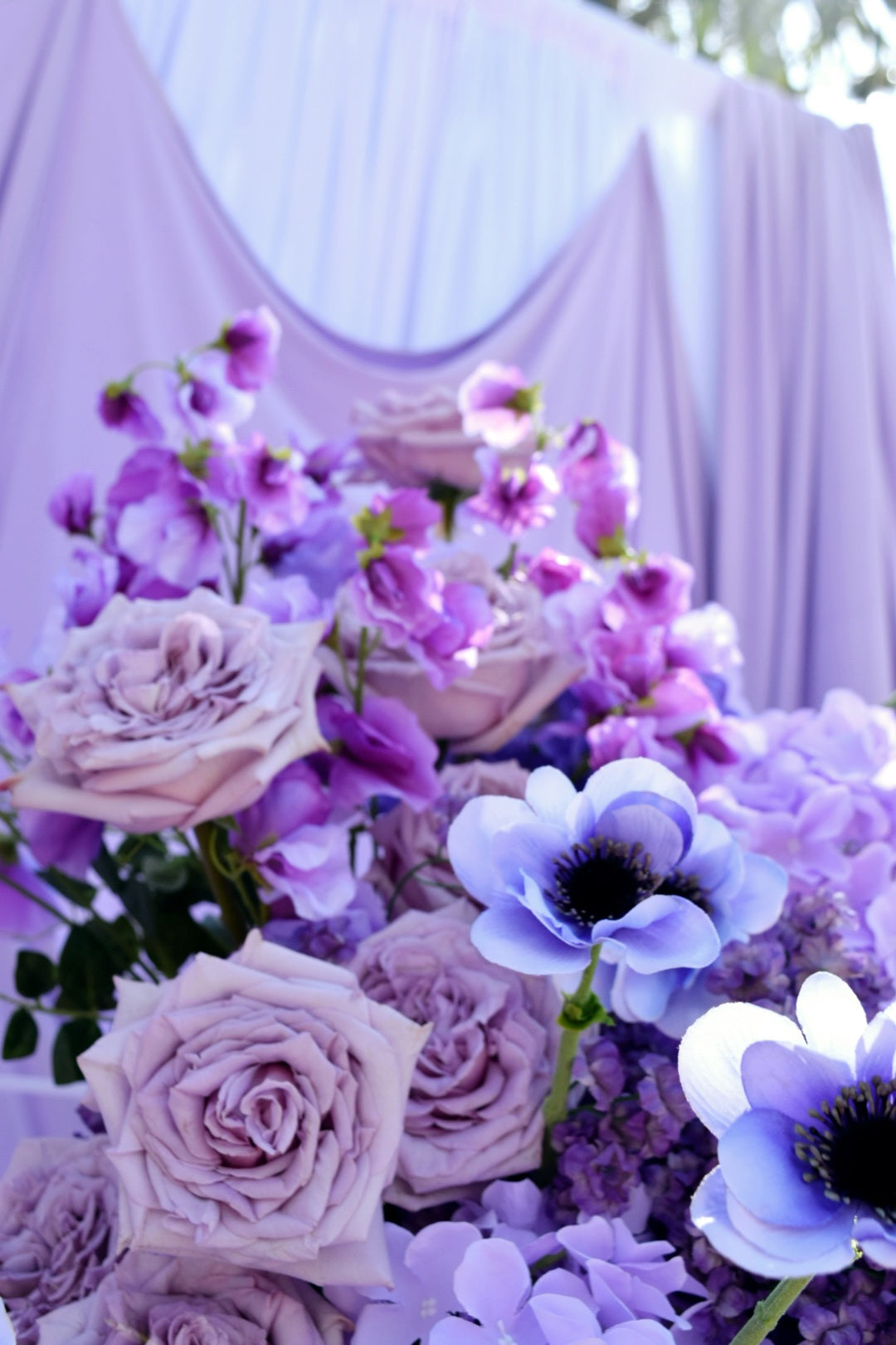 DRAPERY BACKDROP